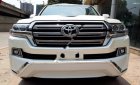 Toyota Land Cruiser VX 4.6 V8 2019 - Bán Toyota Land Cruiser VX 4.6 V8 năm 2019, màu trắng, nhập khẩu