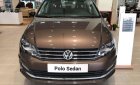 Volkswagen Polo E 2019 - Bán ô tô Volkswagen Polo E đời 2019, màu nâu, nhập khẩu nguyên chiếc