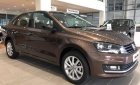 Volkswagen Polo E 2019 - Bán ô tô Volkswagen Polo E đời 2019, màu nâu, nhập khẩu nguyên chiếc