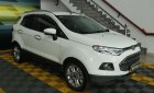 Ford EcoSport Titanium 2014 - Bán Ford Ecosport Titanium đời 2014, màu trắng