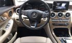 Mercedes-Benz GLC-Class GLC 250 2017 - Bán ô tô Mercedes GLC 250 đời 2017, màu nâu, nhập khẩu