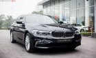 BMW 5 Series 530i 2019 - Bán BMW 530i đời 2019, màu đen, nhập khẩu
