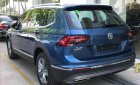 Volkswagen Tiguan Allspace 2018 - Bán ô tô Volkswagen Tiguan Allspace sản xuất 2018, màu xanh lam, nhập khẩu