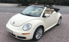 Volkswagen Beetle 2009 - Bán xe Volkswagen New Beetle 2.5 SX 2009