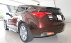 Acura ZDX   ZDX SH-AWD  2009 - Bán xe Acura ZDX SH-AWD sx 2009 đời 2010, màu nâu, xe nhập