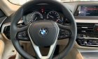 BMW 5 Series 520i 2018 - Cần bán xe BMW 5 Series 520i đời 2018, nhập khẩu