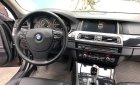 BMW 5 Series 520i 2.0AT 2014 - Bán BMW 520i Sx 2014 DK 2015 màu nâu Full option: Cửa hít, cốp điện