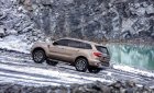 Ford Everest  Biturbo 2019 - Ford Everest 2.0 Biturbo 2019, nhập khẩu, giá tốt nhất thị trường, xe giao ngay 