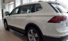 Volkswagen Tiguan 2019 - Bán Volkswagen Tiguan trắng ngọc trai 2019 - Hỗ trợ ngân hàng đến 85%