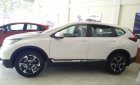 Honda CR V L 2019 - Bán Honda CRV L Turbo nhập khẩu nguyên chiếc, chỉ với 360tr mới 100%, 0942.627.357