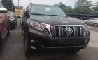 Toyota Prado    VX 2.7L   2019 - Bán xe Toyota Prado VX 2.7L đời 2019, màu nâu