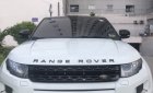 LandRover Evoque 2013 - Bán Range Rover Evoque 2013, đăng ký 2015, nhập Châu Âu, xe đẹp không lỗi bao kiểm tra hãng