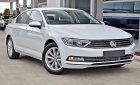 Volkswagen Passat E 2019 - Cần bán xe Volkswagen Passat E đời 2019, màu trắng, nhập khẩu