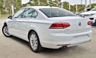 Volkswagen Passat E 2019 - Cần bán xe Volkswagen Passat E đời 2019, màu trắng, nhập khẩu