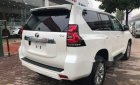 Toyota Land Cruiser Prado 2019 - Bán Toyota Land Cruiser Prado đời 2019, màu trắng, xe nhập