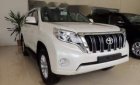 Toyota Land Cruiser Prado 2019 - Bán Toyota Land Cruiser Prado đời 2019, màu trắng, xe nhập