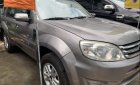 Ford Escape 2010 - Bán Ford Escape sản xuất năm 2010, màu xám