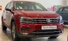 Volkswagen Tiguan E 2019 - Xe Volkswagen Tiguan Allspaces 2019 chính thức lăn bánh tại Việt Nam - Hotline: 0909 717 983