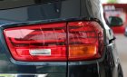 Kia Sedona  Deluxe 2019 - Kia Sedona - giảm giá tiền mặt / tặng bảo hiểm + camera hành trình - liên hệ PKD Kia Bình Tân 093 317 0660