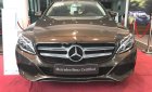 Mercedes-Benz C class 2019 - Bán xe Mercedes sản xuất năm 2019