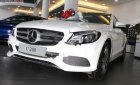 Mercedes-Benz C class 2019 - Bán xe Mercedes sản xuất năm 2019