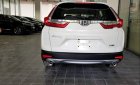 Honda CR V   2019 - Cần bán Honda CR V đời 2019, màu trắng, xe nhập
