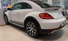 Volkswagen Beetle   2019 - Bán xe Volkswagen Beetle 2019, màu trắng, xe nhập