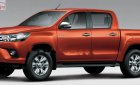 Toyota Hilux 2016 - Chính chủ bán Toyota Hilux năm 2016, nhập khẩu nguyên chiếc