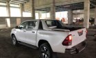 Toyota Hilux   2019 - Bán Toyota Hilux 2019, màu trắng, xe nhập