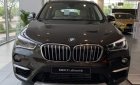 BMW X1 sDrive18i 2018 - Bán BMW X1 sDrive18i năm sản xuất 2018, màu nâu, xe nhập