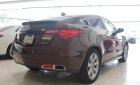 Acura ZDX SH-AWD 2009 - Bán Acura ZDX SH-AWD sản xuất 2009, màu nâu, nhập khẩu