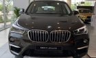 BMW X1   2019 - Cần bán BMW X1 đời 2019, xe nhập, giá tốt