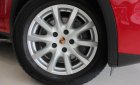 Porsche Cayenne 2013 - Cần bán Porsche Cayenne đời 2013, màu đỏ, nhập khẩu
