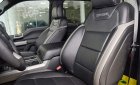 Ford F 150 Raptor 2019 - Cần bán xe Ford F 150 F150 Raptor đời 2019, màu đen, nhập khẩu