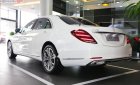 Mercedes-Benz S class S450L Luxury 2019 - Cần bán xe Mercedes S450L Luxury năm 2019, màu trắng