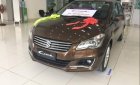 Suzuki Ciaz 2019 - Bán xe Suzuki Ciaz năm 2019, màu nâu, nhập khẩu Thái, giá tốt