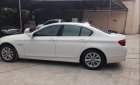 BMW 5 Series  523i 2010 - Bán BMW 523i, xe gia đình không lỗi lầm