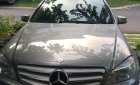 Mercedes-Benz C class 2008 - Cần bán xe Mercedes năm 2008, màu xám, xe nhập, giá 460tr