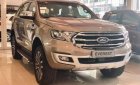 Ford Everest Titanium 2.0L 4x4 AT 2019 - Bán Ford Everest Titanium 2.0L 4x4 AT 2019, nhập khẩu