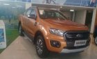 Ford Ranger  2.0 Bi - tubo 2019 - Bán xe Ford Ranger 2.0 Bi - tubo sản xuất 2019, nhập khẩu