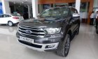 Ford Everest 2019 - Ford Everest Titanium bi turbo, màu xám, giao ngay trong tháng