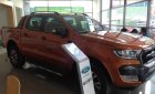 Ford Ranger   Wildtrak 2.0   2019 - Bán xe Ford Ranger Wildtrak 2.0 đời 2019, nhập khẩu  