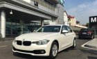 BMW 3 Series  320i 2018 - Bán BMW 3 Series 320i 2018, màu trắng, nhập khẩu nguyên chiếc