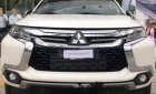 Mitsubishi Pajero MT 2019 - Cần bán xe Mitsubishi Pajero MT sản xuất năm 2019