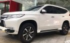 Mitsubishi Pajero MT 2019 - Cần bán xe Mitsubishi Pajero MT sản xuất năm 2019