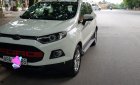 Ford EcoSport Titanium 1.5P AT 2017 - Bán Ford EcoSport Titanium 1.5P AT 2017, màu trắng, giá 521tr. Liên hệ chính chủ 0702020707