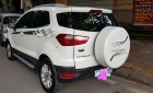 Ford EcoSport Titanium 1.5P AT 2017 - Bán Ford EcoSport Titanium 1.5P AT 2017, màu trắng, giá 521tr. Liên hệ chính chủ 0702020707