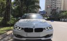 BMW 3 Series 320i 2014 - Bán BMW 320i sản xuất năm 2014, màu trắng, xe nhập