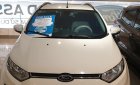 Ford EcoSport Titanium 2017 - Bán Ford EcoSport Titanium đời 2017, màu trắng, giá chỉ 515 triệu