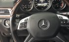 Mercedes-Benz E class E400 2014 - Cần bán Mercedes E400 đời 2014, màu đen, nhập khẩu nguyên chiếc